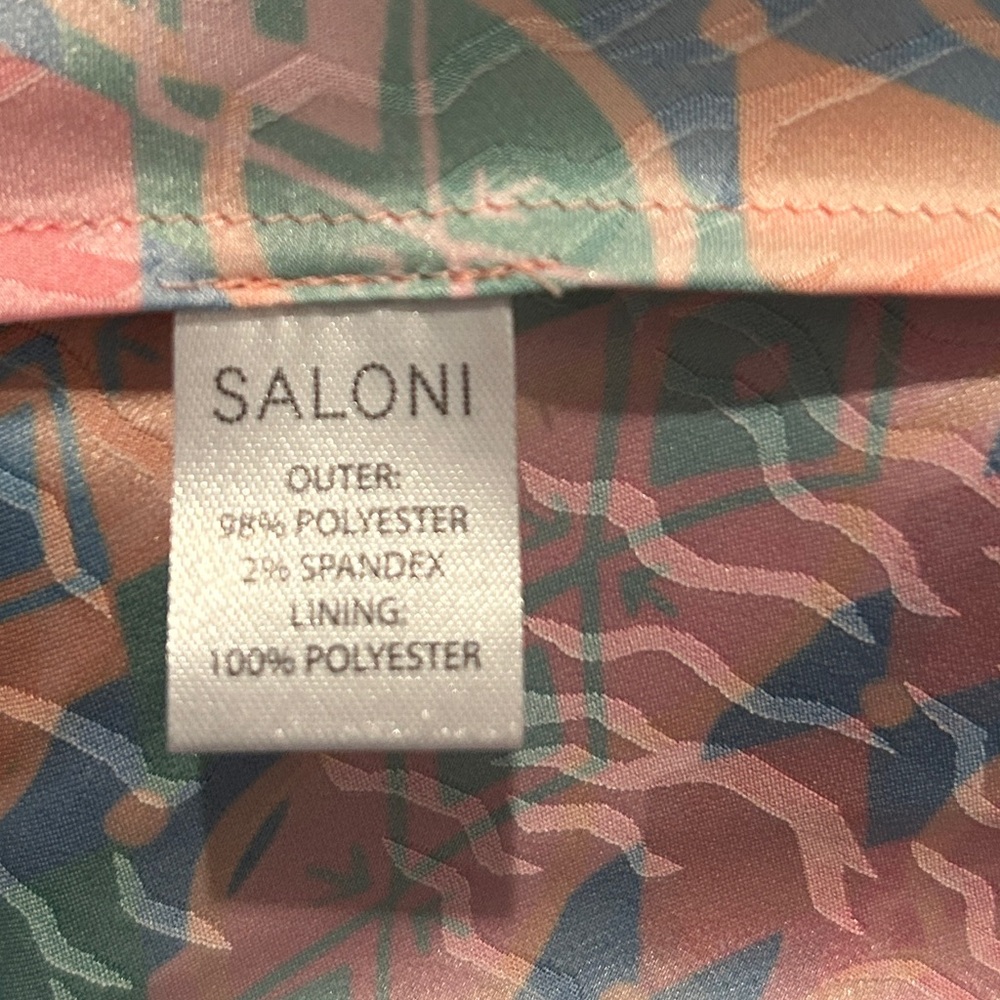 SALONI Karen Graphic Stripe-Printed Dress - Picture 13 of 14